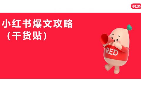 小红书爆文攻略.PDF