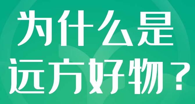 远方好物-广州蜂群企业宣传稿