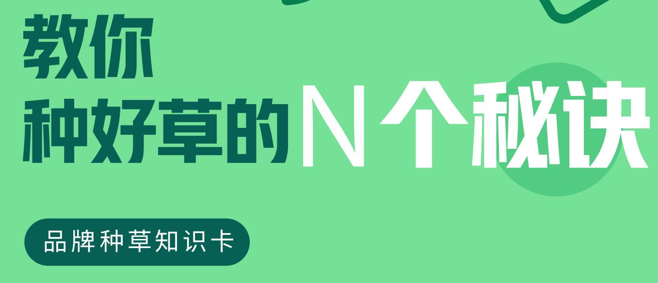 2023教你种好草的N个秘诀-品牌种草知识卡