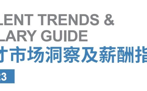 2023人才市场洞察及薪酬指南