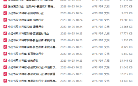小红书双十一营销指南（20个行业）