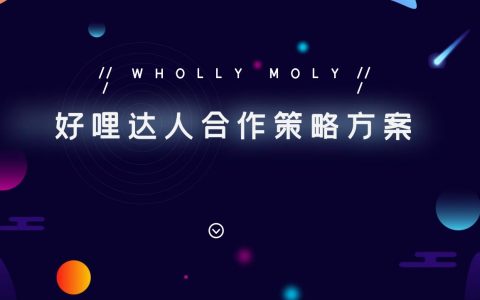 新消费健康食品品牌达人合作策略方案