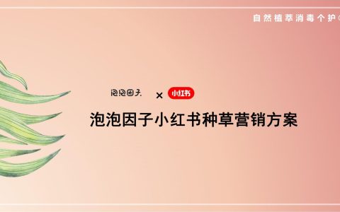 泡泡因子小红书种草营销方案