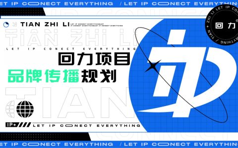 回力项目品牌传播规划
