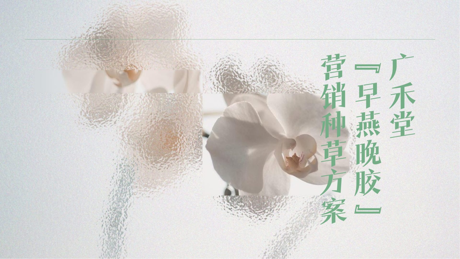 2023广禾堂早燕晚胶营销种草方案