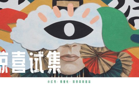 2024小红书：惊喜试集互动IP招商方案