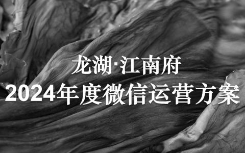 龙湖江南府2024年度微信运营方案