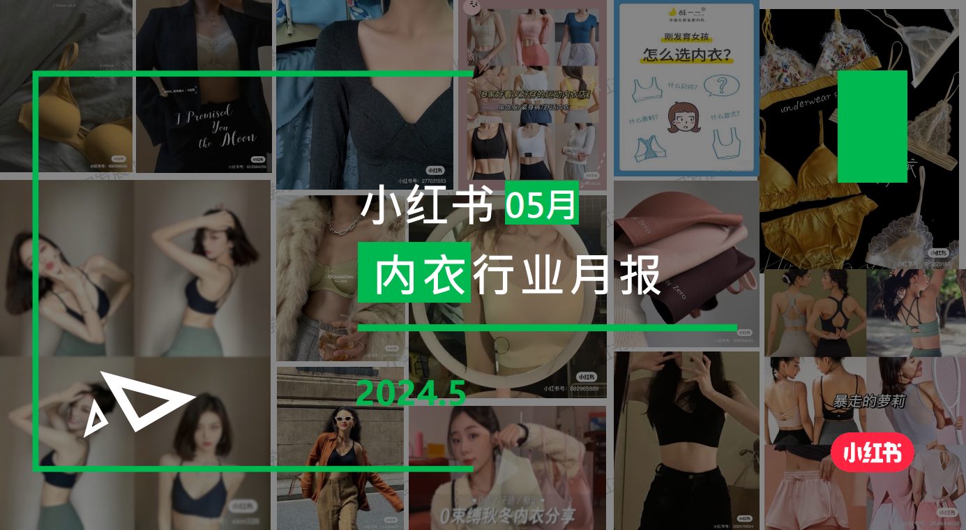 小红书-2024年内衣行业月报（5月）