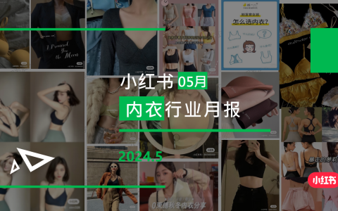 小红书-2024年内衣行业月报（5月）