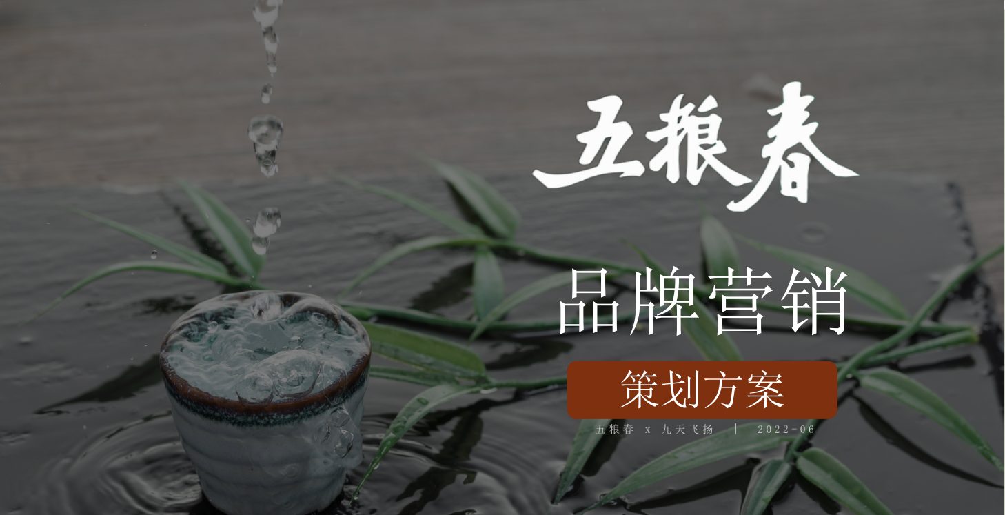 五粮春品牌营销案