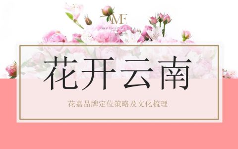 花嘉品牌定位及品牌文化梳理