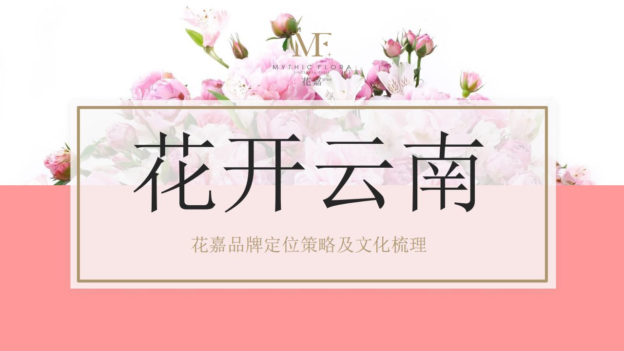花嘉品牌定位及品牌文化梳理
