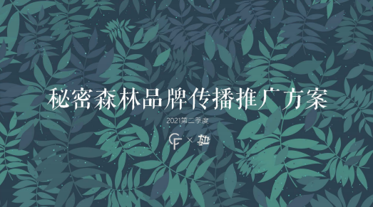 新消费内衣品牌种草营销案【秘密森林】