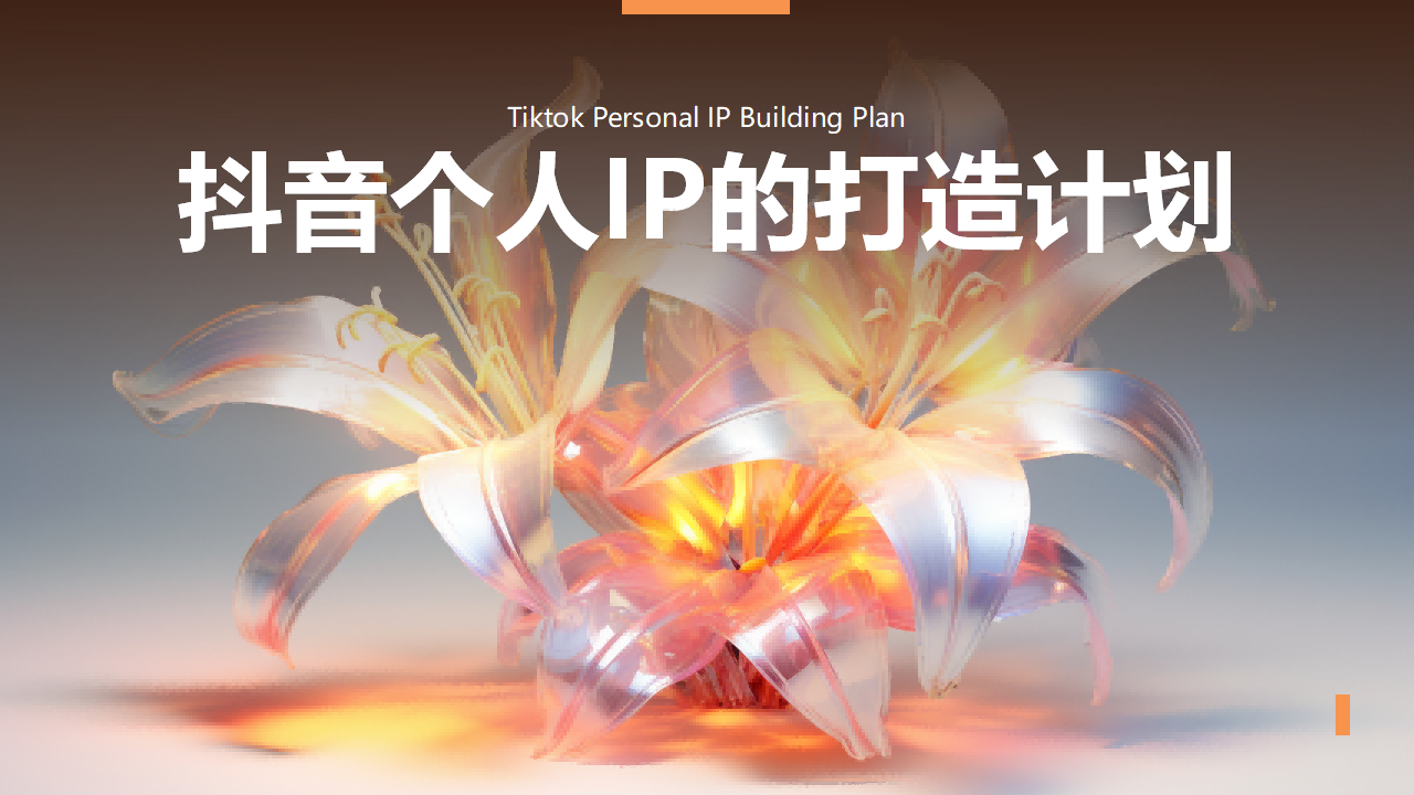 抖音个人IP的打造计划