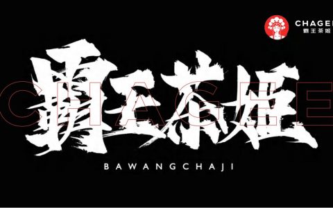 霸王茶姬品牌手册- 以东方茶会世界友