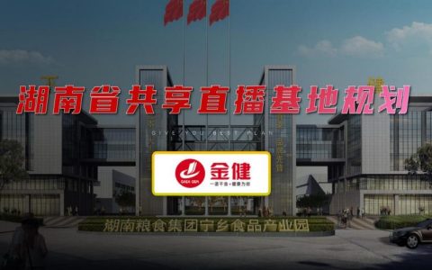 2024湖南省共享直播基地规划