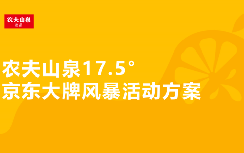 【农夫山泉】京东大牌风暴活动方案