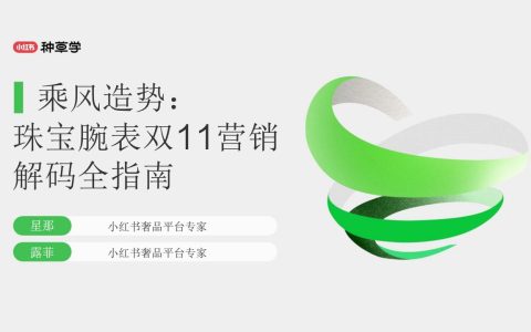 小红书珠宝腕表双11营销解码全指南：乘风造势