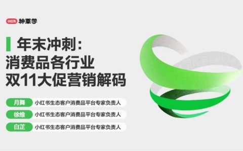 年末冲刺：小红书消费品各行业双11大促营销解码