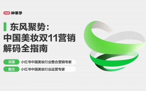 2024中国美妆双11营销解码全指南