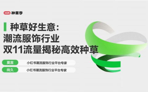 小红书潮流服饰行业双11流量揭秘高效种草