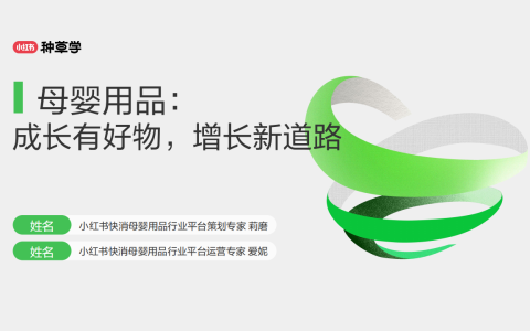 【小红书】母婴用品-双11营销指南