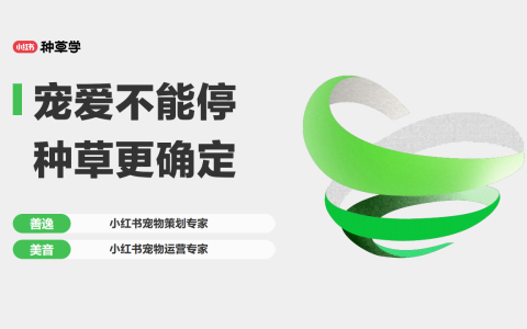 【小红书】宠物用品&宠物健康-双11营销指南