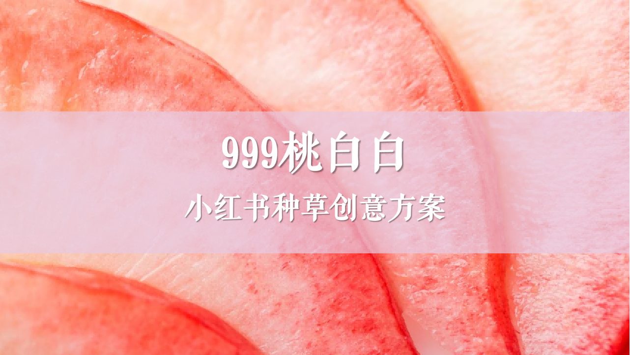 999桃白白小红书种草创意方案