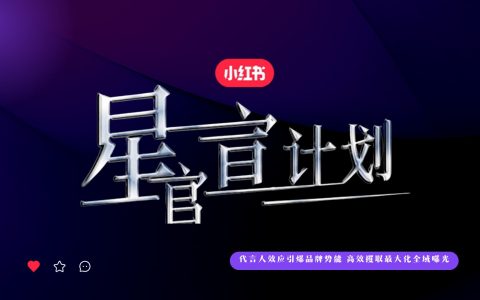 2024小红书星官宣计划：代言人效应引爆品牌势能   <sup><font color=red>免费下载</font></sup>