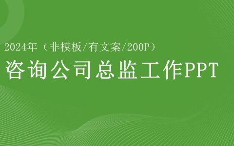 🔥2024咨询公司总监工作模型