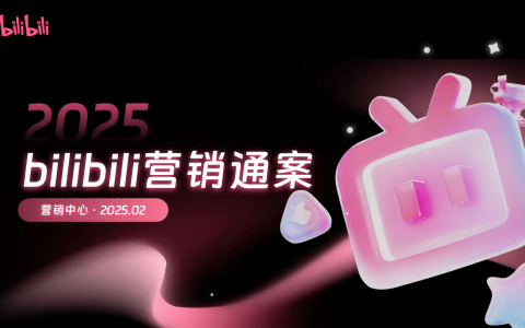 ⭕2025年bilibili营销通案
