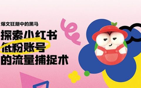 🆓如何提高小红书低粉账号爆文率？