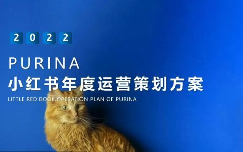 🆓2022年度小红书传播运营规划方案