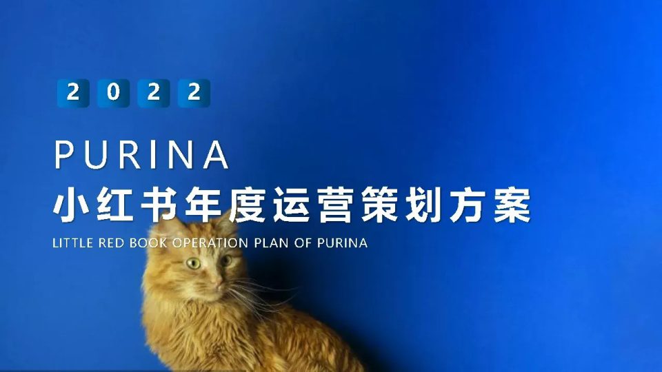 🆓2022年度小红书传播运营规划方案