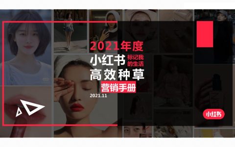 🆓小红书高效种草营销手册