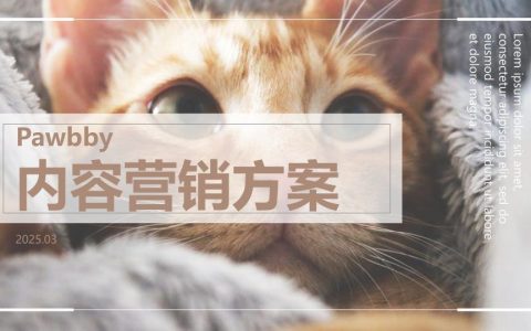 ⭕新媒体运营Pawbby内容营销全案方案