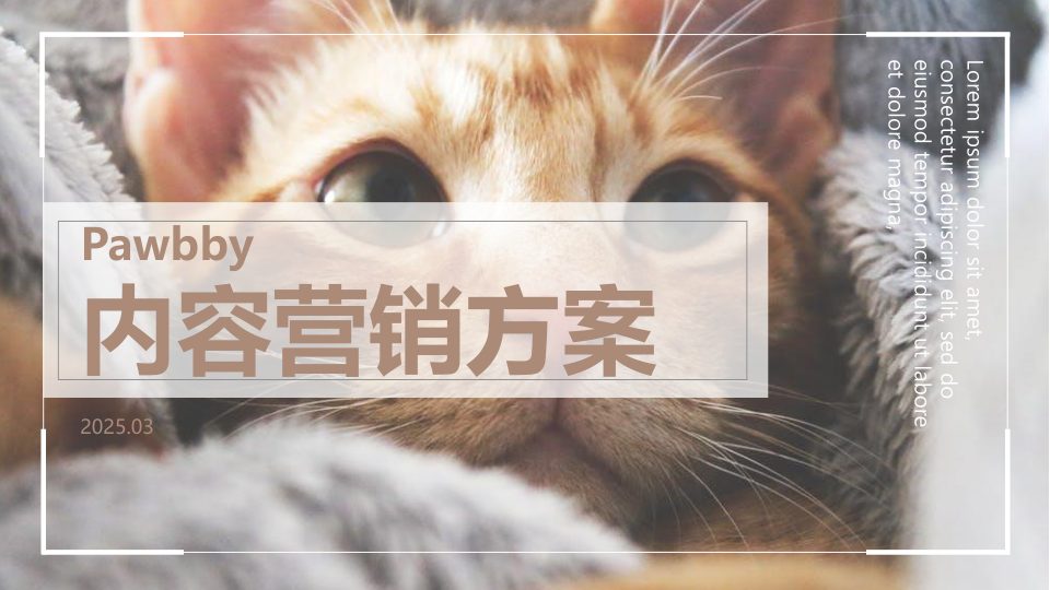 ⭕新媒体运营Pawbby内容营销全案方案