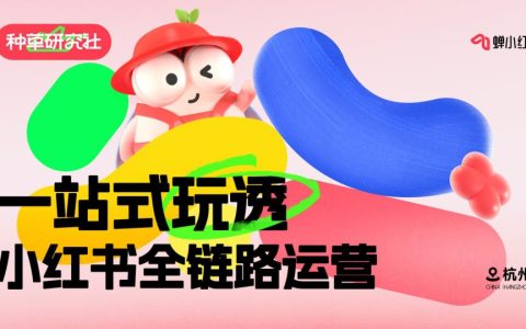 🆓一站式玩透小红书全链路运营：小红书投放如何做好预算规划？