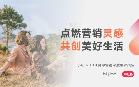 ⭕小红书IDEA灵感营销深度解读
