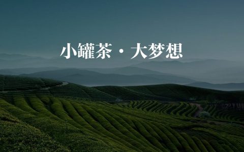 ⭕小罐茶大梦想——小罐茶品牌发展规划