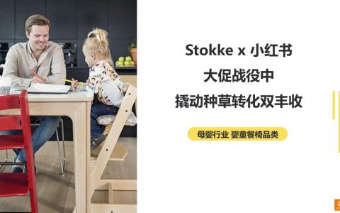 ⭐Stokke x 小红书：大促战役中撬动种草转化双丰收