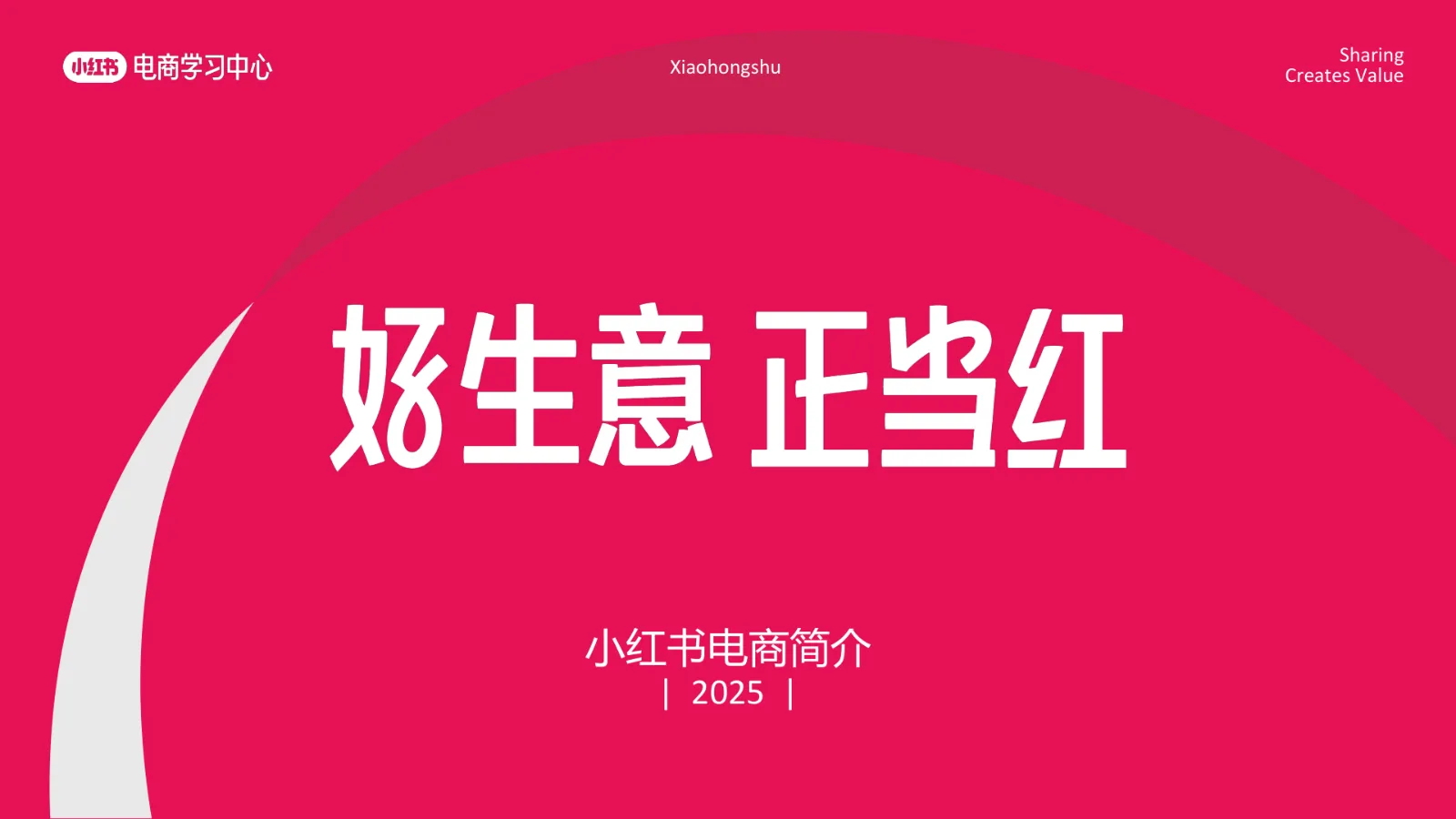 2025小红书电商简介