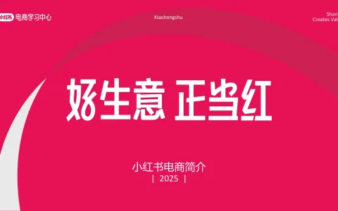 ⭐2025小红书电商简介