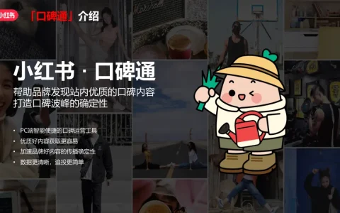 ⭐2025小红书口碑通产品介绍