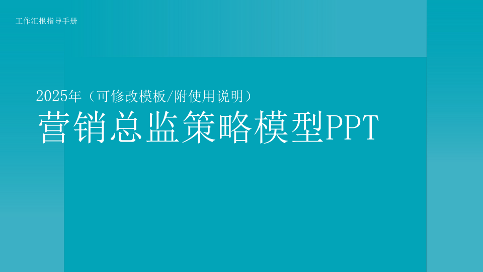 🔥2025营销总监策略模型PPT