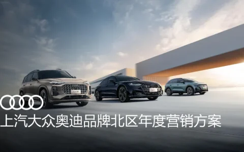 ⭕上汽奥迪区域年度营销方案
