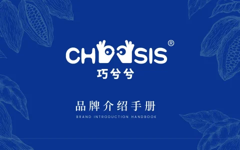 ⭕黑巧零食制品巧兮兮品牌介绍手册