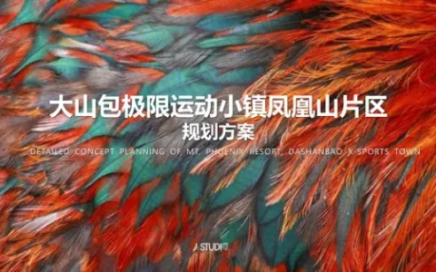⭕大山包极限运动小镇凤凰山片区规划方案