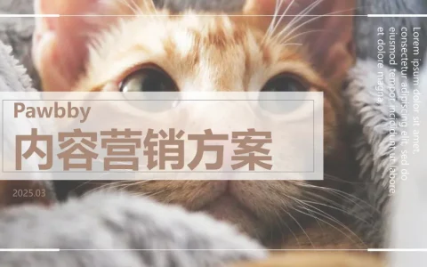 ⭕2025宠物品牌Pawbby内容营销方案