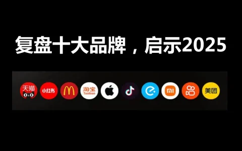 ⭕复盘十大品牌，启示2025